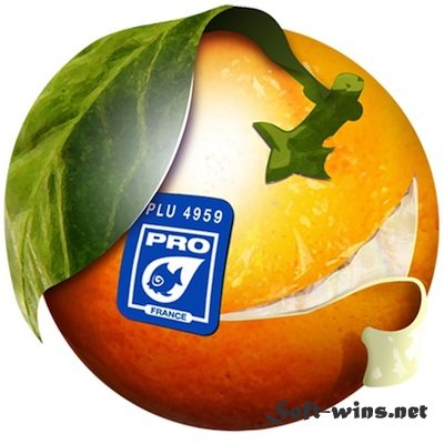 BannerZest Pro 3.1.1
