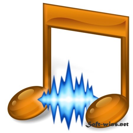  Transcribe!