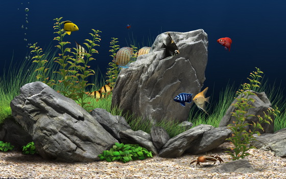 Dream Aquarium 1.2592 Screensaver