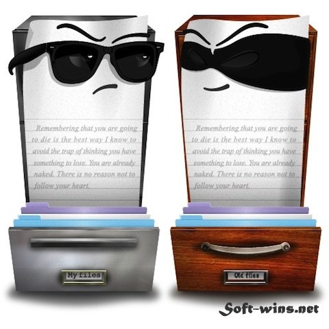 Singlemizer 4.3.1