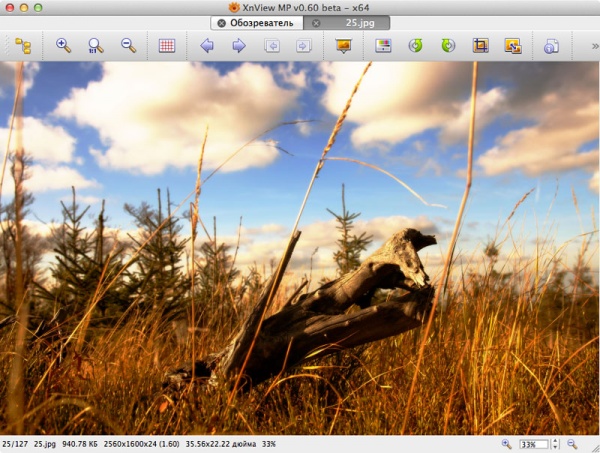 XnViewMP
