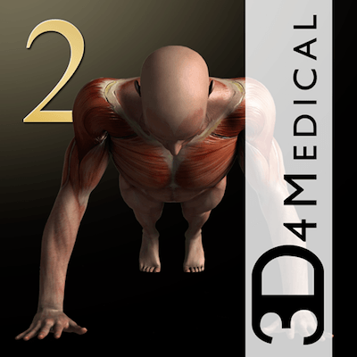iMuscle 2
