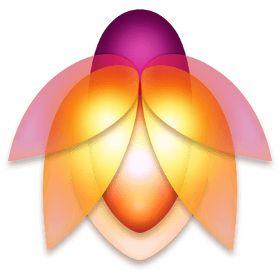 Flare 2.2.4