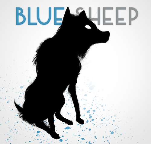 Blue Sheep