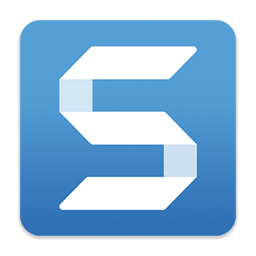 TechSmith Snagit 2019.1.1