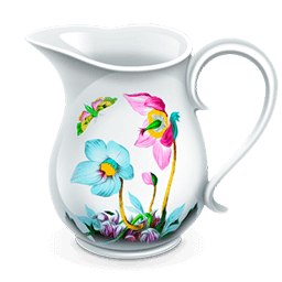 Charles Web Debugging Proxy 4.2.1